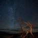 Milky Way over Death Valley Mesquite Sand Dunes  by jyokota