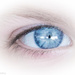 Eye beauty by flyrobin