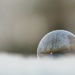 Bubble Dome by mhei