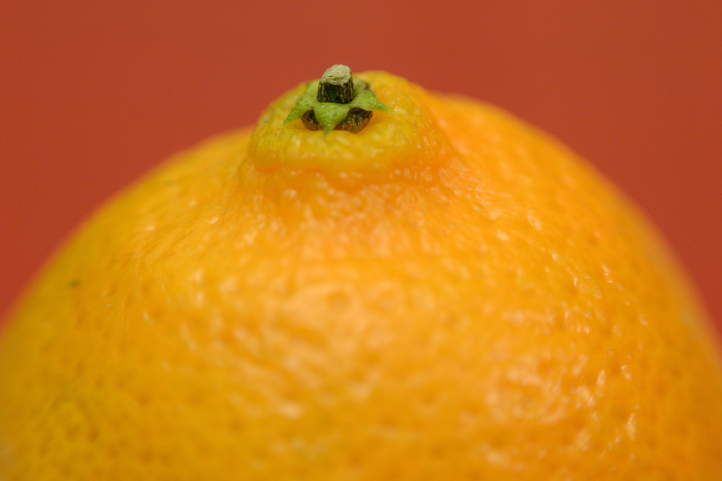 Orange by richardcreese
