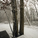 January Snow by hjbenson