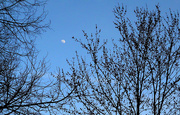 22nd Jan 2015 - There's a moon up there
