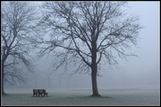 23rd Jan 2015 - Morning Fog