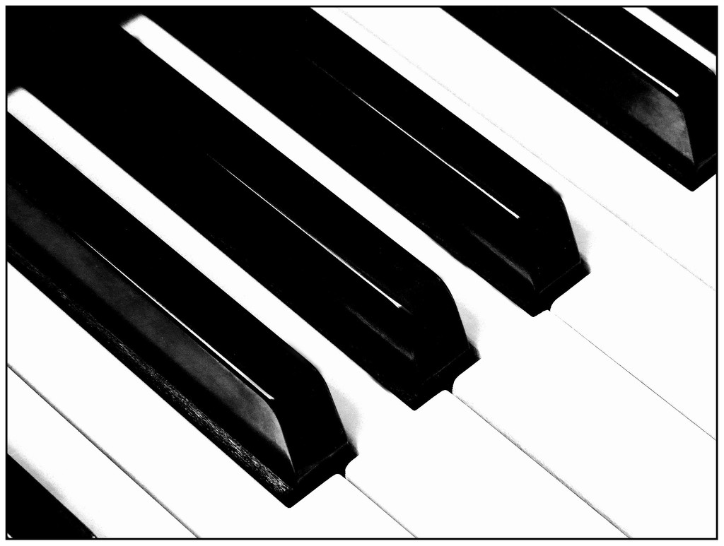 Piano Keys by olivetreeann
