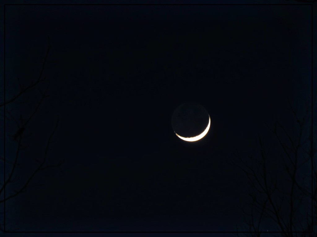 A Sliver of a Silvery Moon by olivetreeann