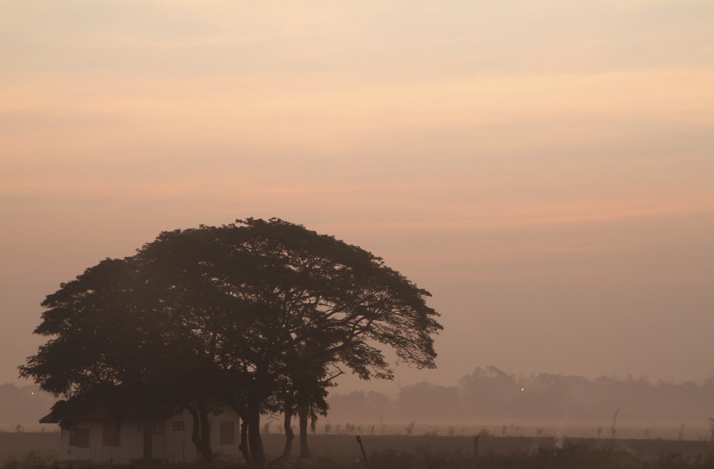 Misty dawn..... by anne2013