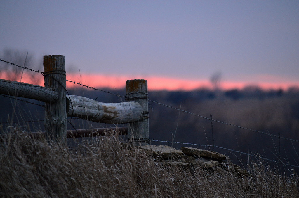 Fence and Stone by kareenking