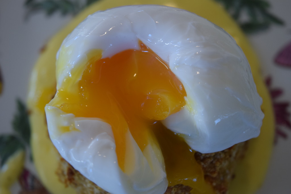 poached egg and fishcake for lunch by christophercox