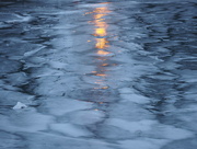 23rd Jan 2015 - Ice Patterns
