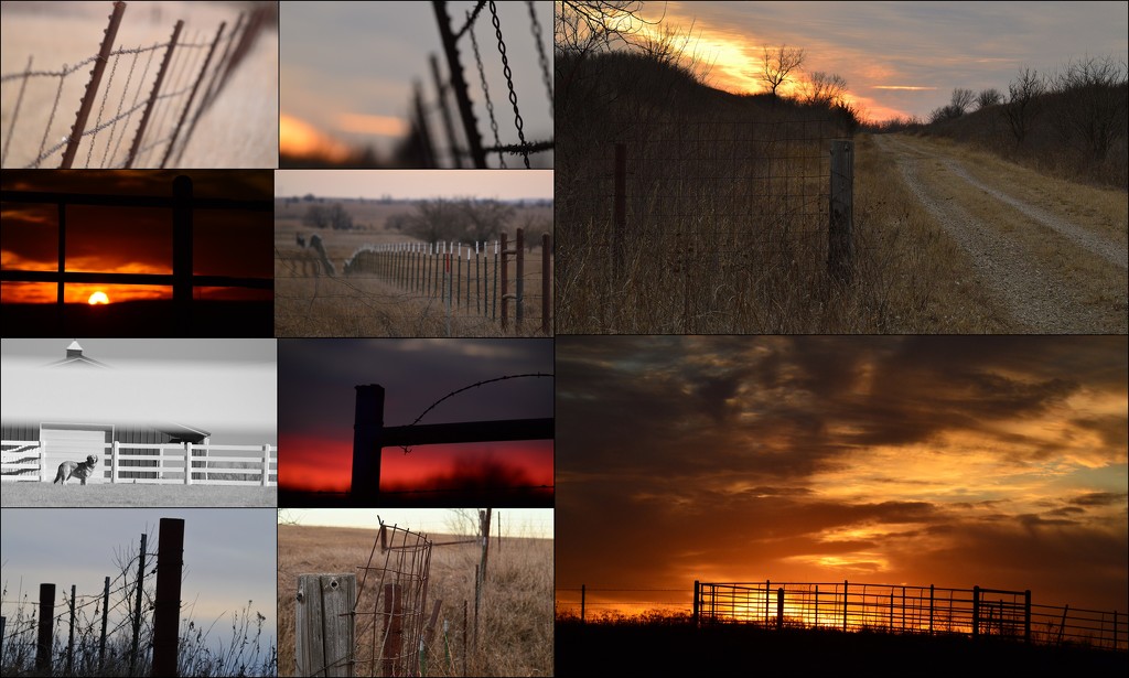Kansas Fences by kareenking