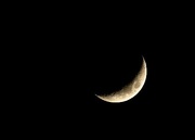 24th Jan 2015 - Crescent moon