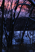 24th Jan 2015 - Winter Sunset 