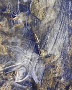 24th Jan 2015 - Abstract Ice Layers