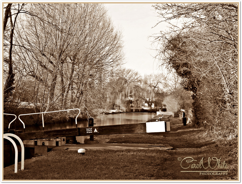 Canal View From A Lock by carolmw