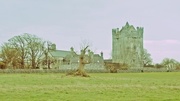 23rd Jan 2015 - claregalway castle cross processed
