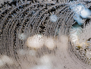 22nd Jan 2015 - Frost on the Window