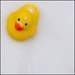 Quack by ukandie1