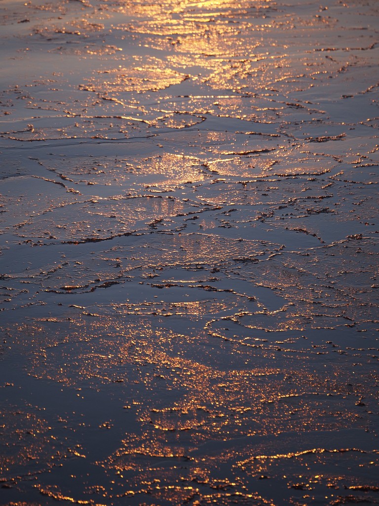 Golden Ice Lace by selkie