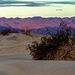 Sunrise in the Dunes by jyokota