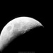 Moon thru Telescope by byrdlip