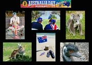 26th Jan 2015 - Happy Australia Day