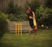 26th Jan 2015 - "Backyard Cricket"