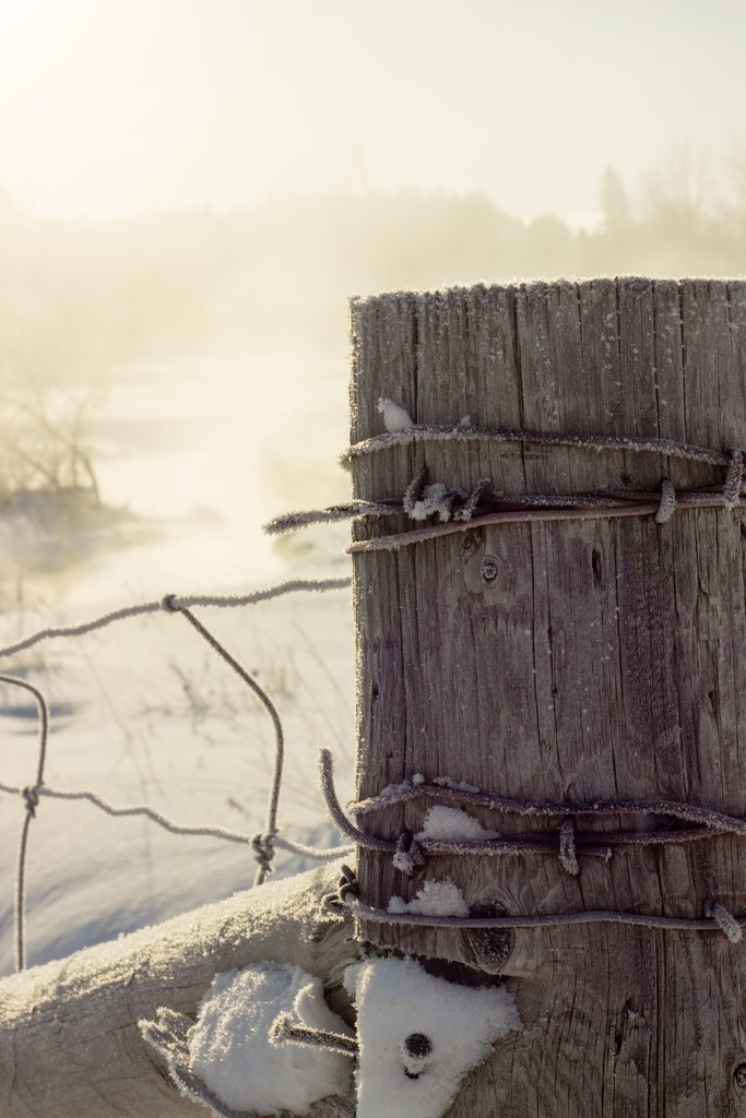 Misty morning fence  by tracymeurs