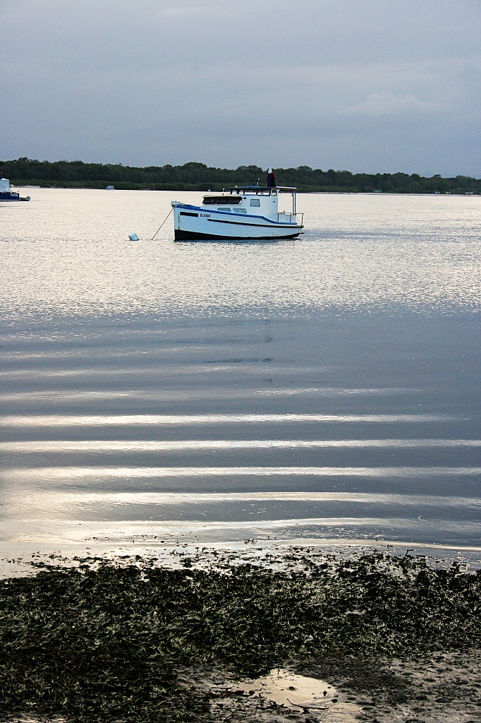 boat by corymbia