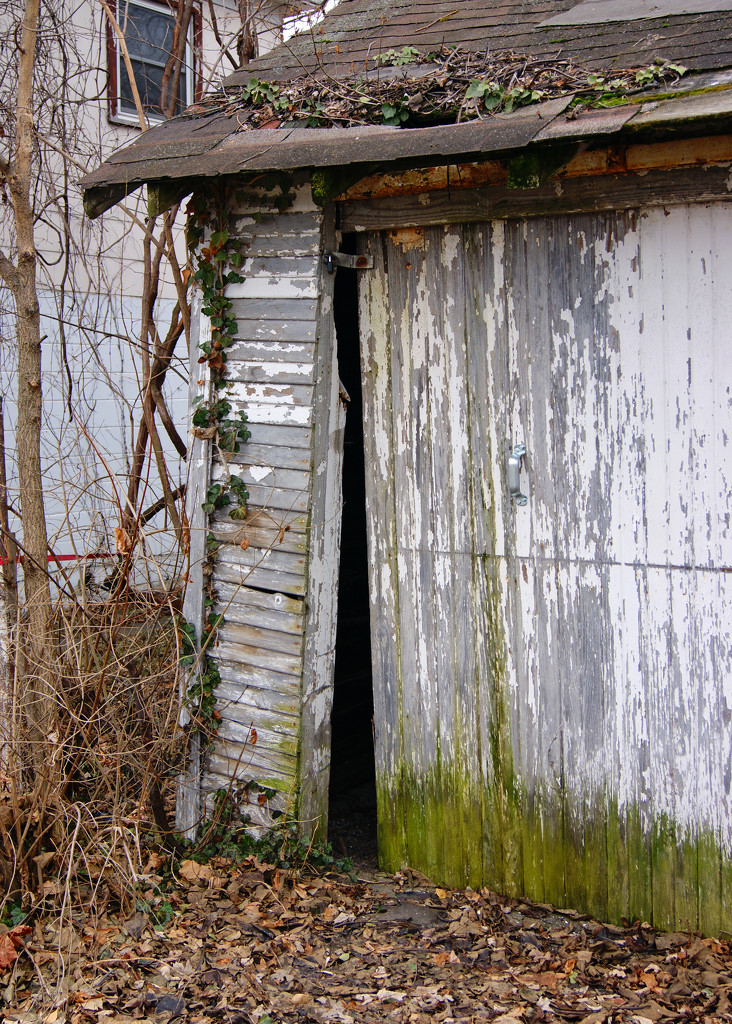 Mossy Garage by herussell