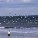 Birds over the Beach by hjbenson