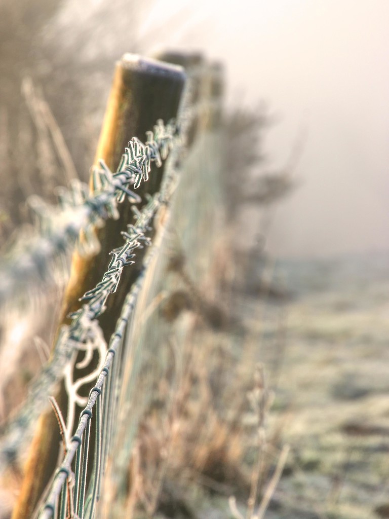 Frosty Sunrise.... by shepherdmanswife