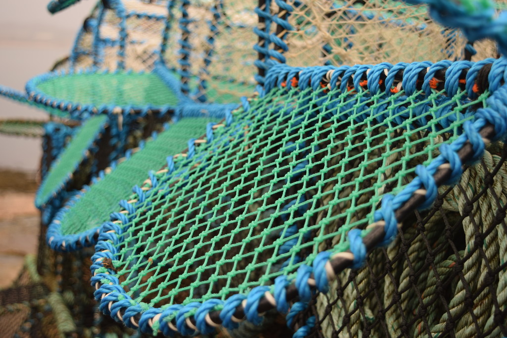 lobster pots by christophercox