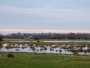 27th Jan 2015 - Watery wetlands