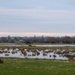 Watery wetlands by julienne1