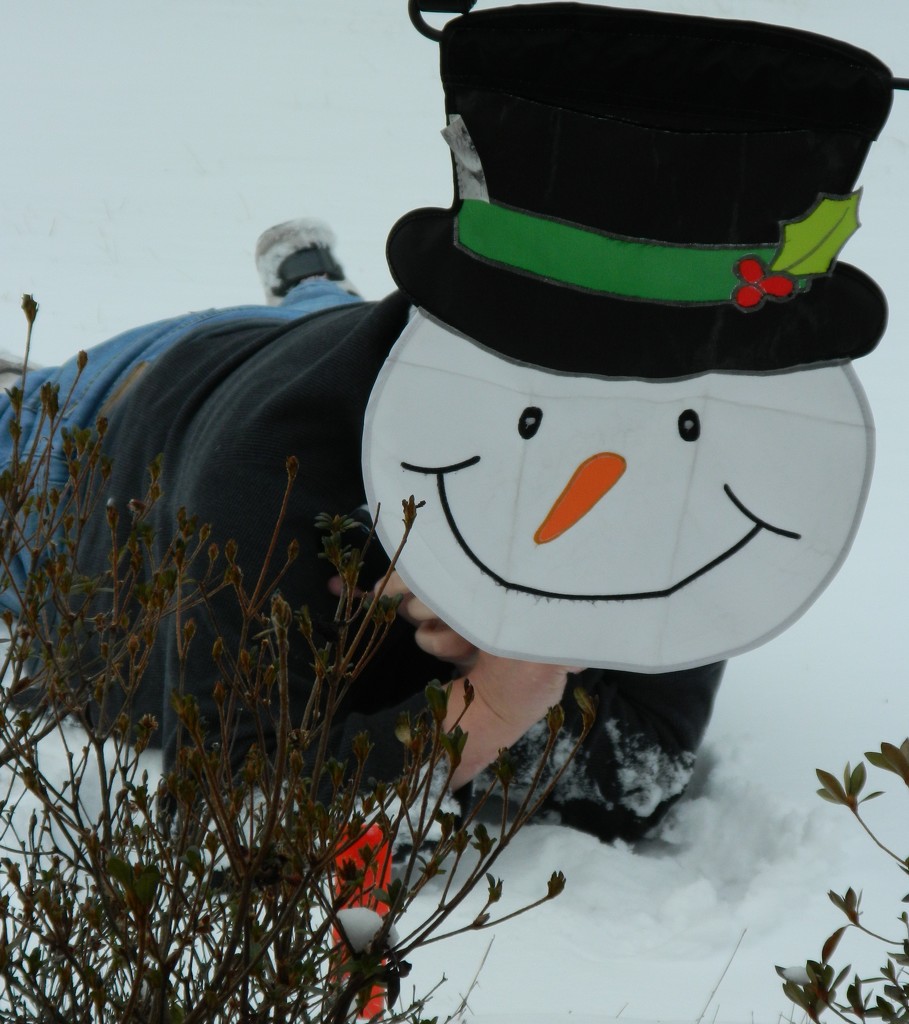 This Snowman has a  Body by jo38