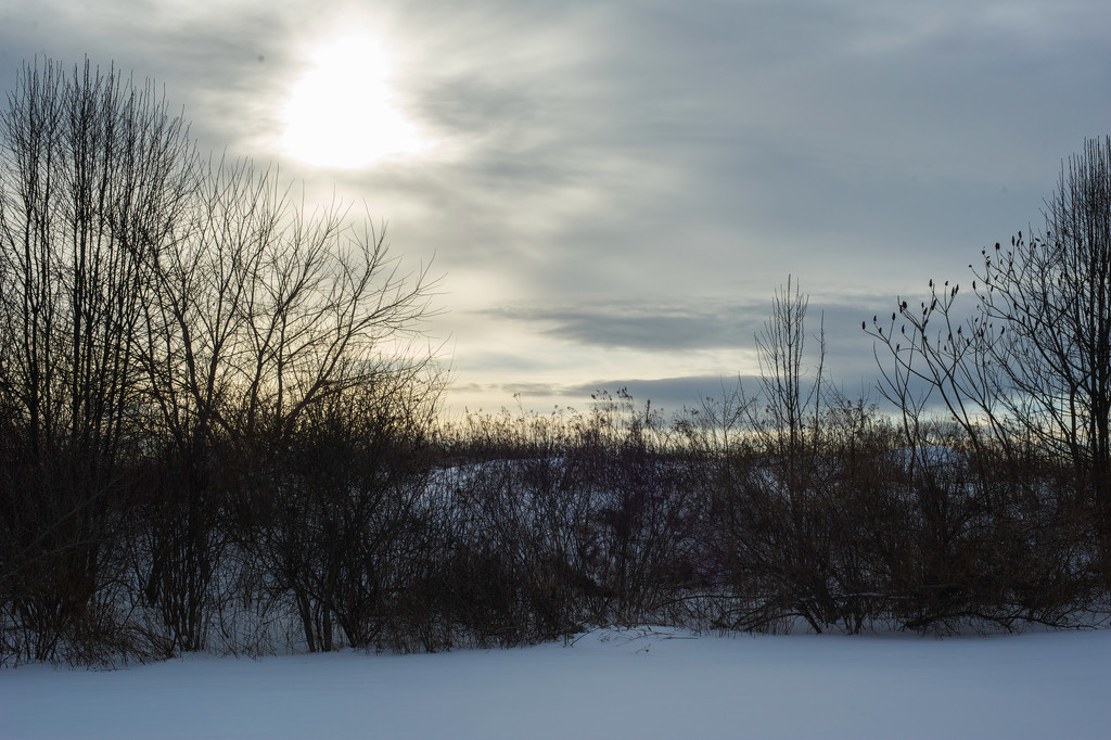 Winter sky by loweygrace