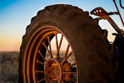 27th Jan 2015 - Old Tractor Spokes