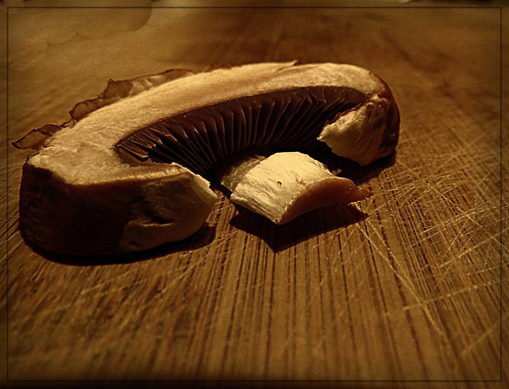 Bella Mushroom Slice by olivetreeann