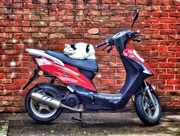 28th Jan 2015 - Cat on scooter