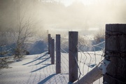 28th Jan 2015 - Frosty fence line