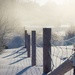 Frosty fence line by tracymeurs