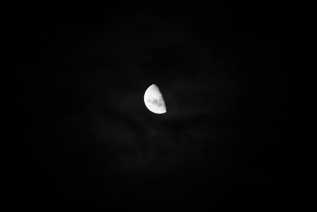 moon #273 by ricaa