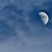 Afternoon Moon by peggysirk