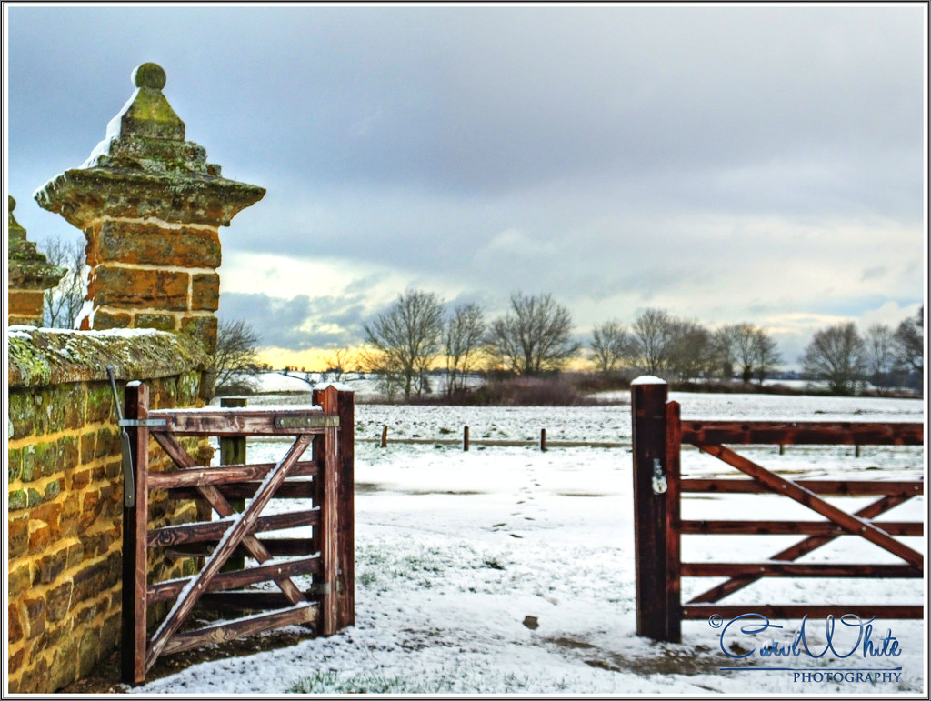 Snowy Scene near Great Brington,Northampton by carolmw