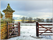 29th Jan 2015 - Snowy Scene near Great Brington,Northampton