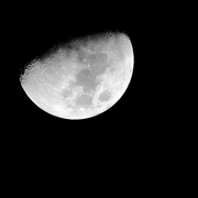 29th Jan 2015 - Half a moon!