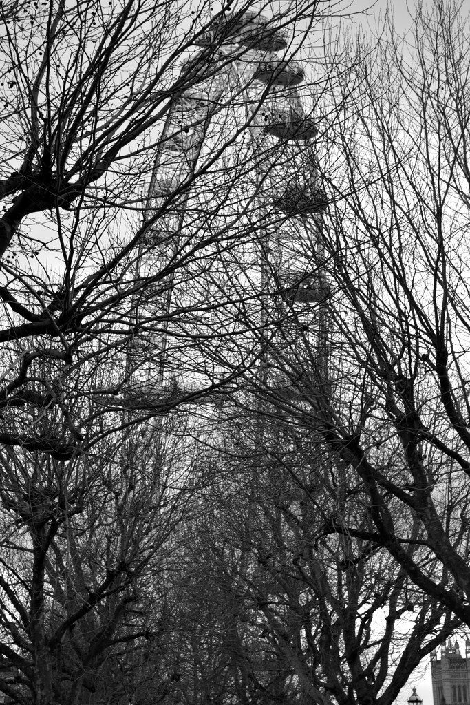 London Eye by tomdoel
