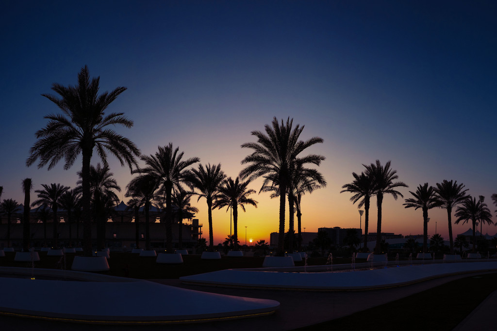 Day 016, Year 3 - Arabian Abu Sunset by stevecameras