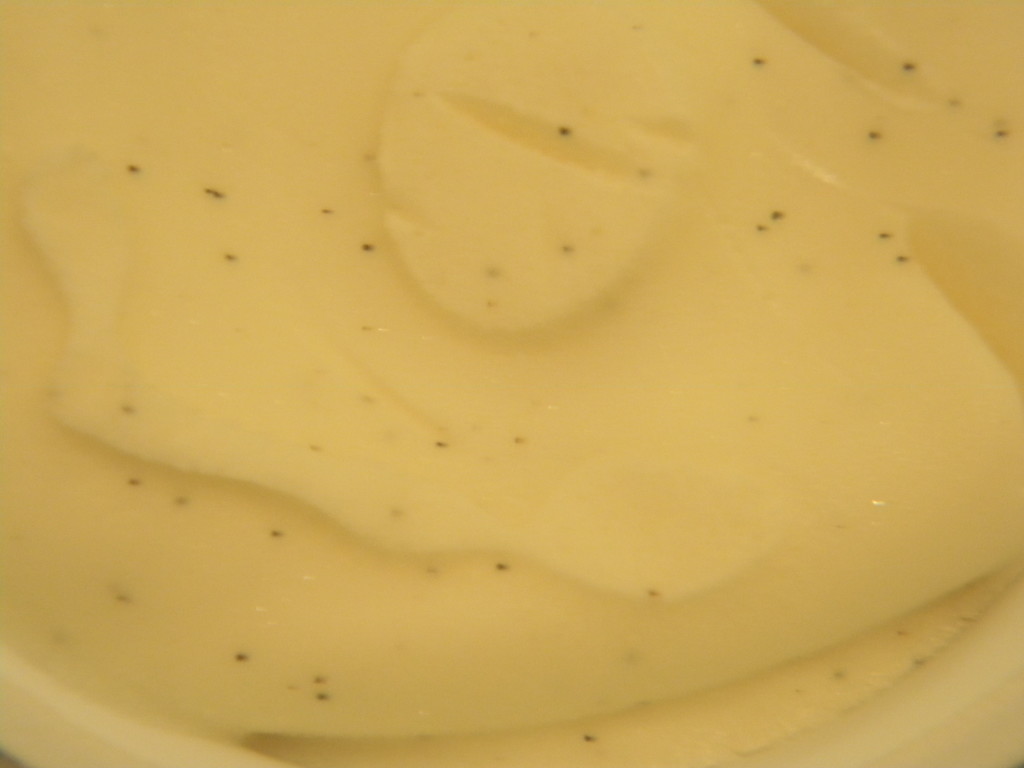 Vanilla Frozen Yogurt by sfeldphotos