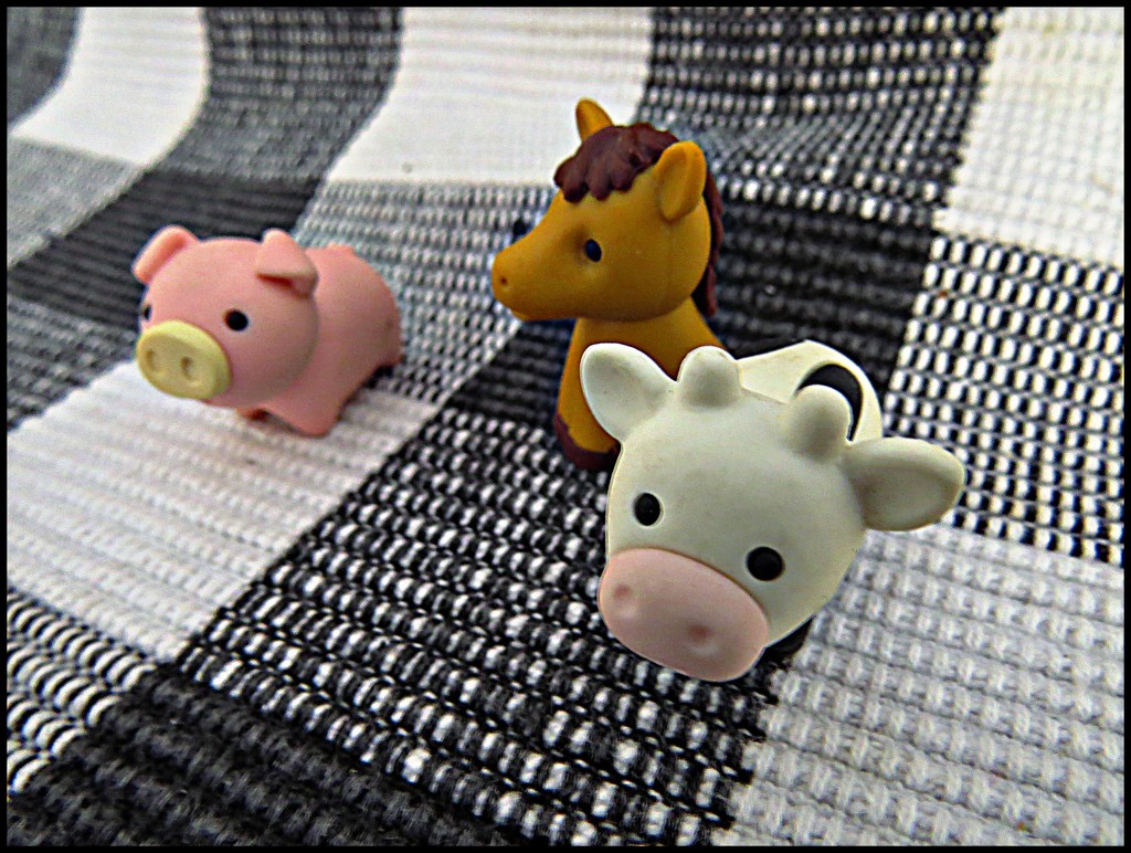 Piggy's Puzzle by olivetreeann
